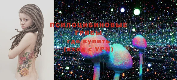 первитин Дмитриев