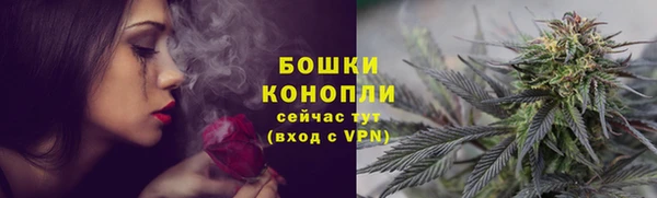 первитин Дмитриев