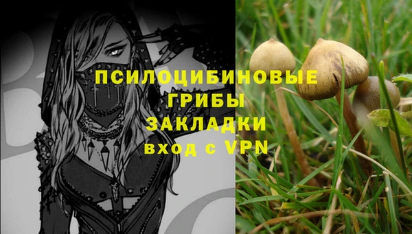 ПСИЛОЦИБИНОВЫЕ ГРИБЫ Дмитровск