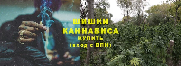 ПСИЛОЦИБИНОВЫЕ ГРИБЫ Дмитровск