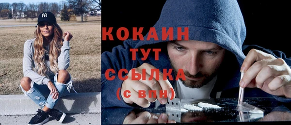 ПСИЛОЦИБИНОВЫЕ ГРИБЫ Дмитровск