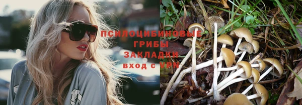 первитин Дмитриев