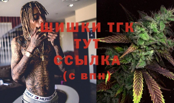 первитин Дмитриев