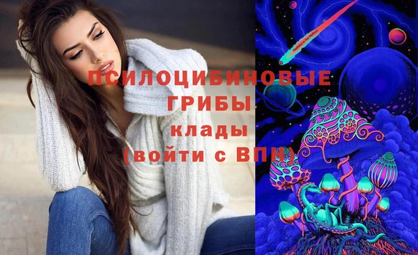 первитин Дмитриев