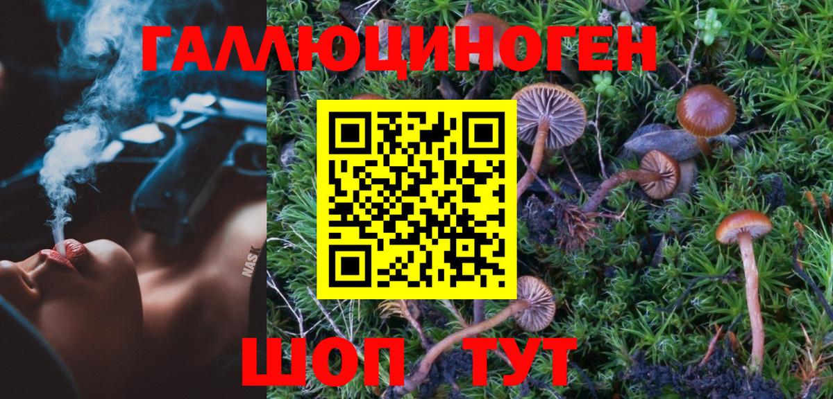 Галлюциногенные грибы MAGIC MUSHROOMS  Вход с VPN  где купить наркоту  Находка 
